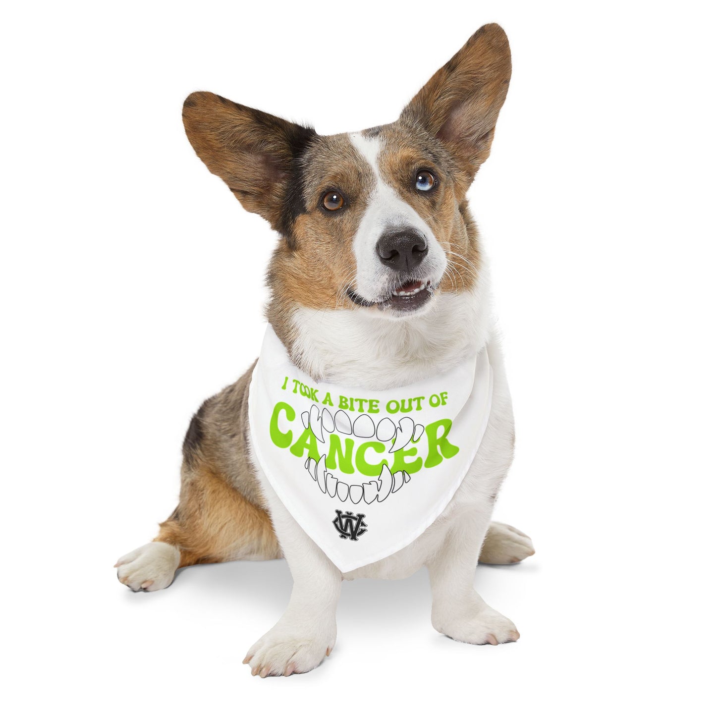 Take a Bite Out of Cancer (Green) - Dog Bandana